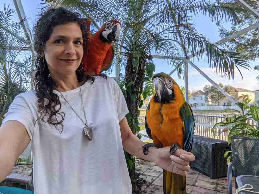 Parrot at the Blissful Sanctuary
