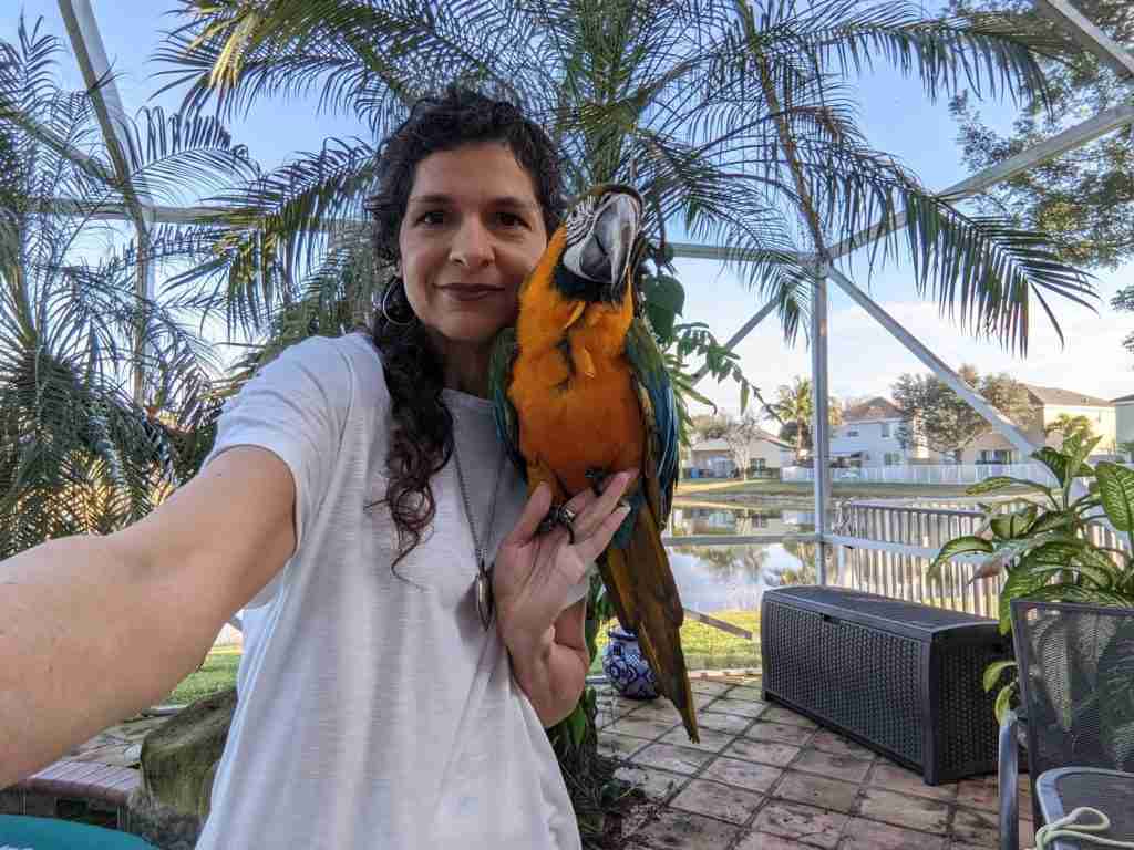 Parrot at the Blissful Sanctuary