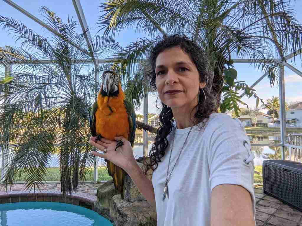 Parrot at the Blissful Sanctuary