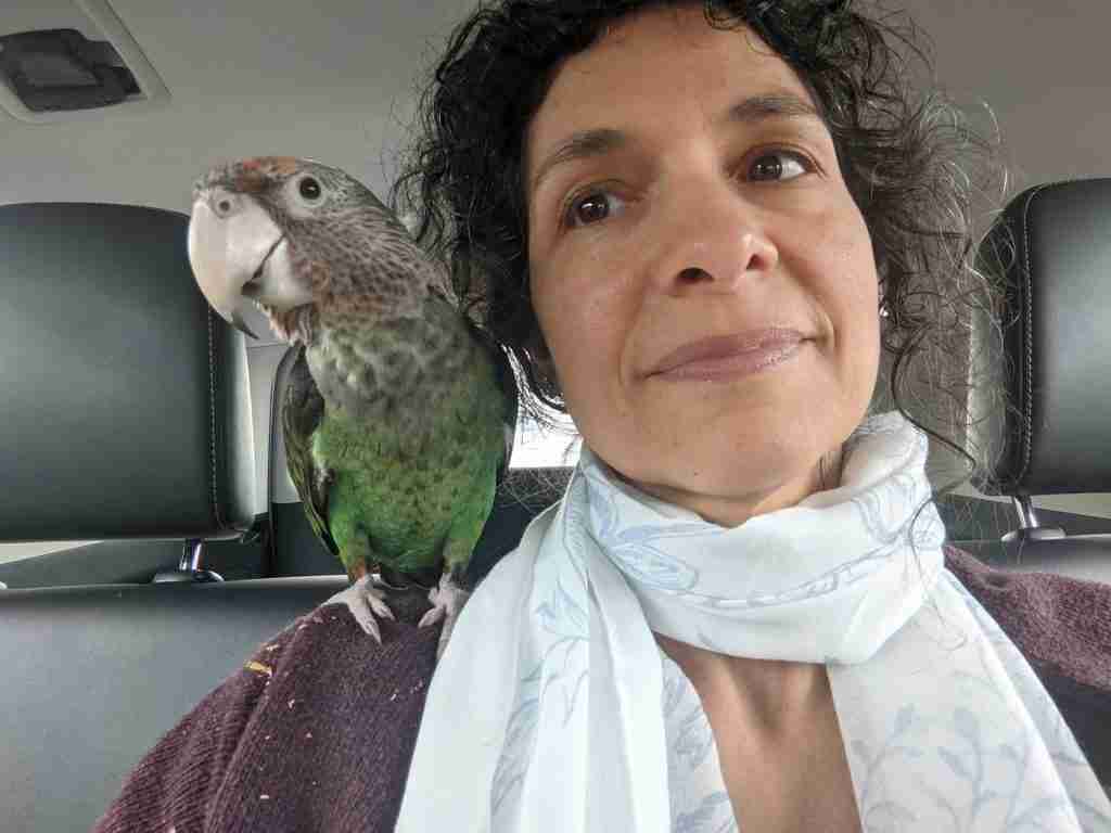 Parrot at the Blissful Sanctuary