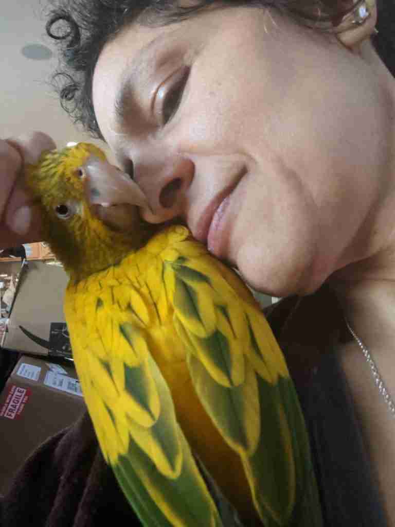 Parrot at the Blissful Sanctuary