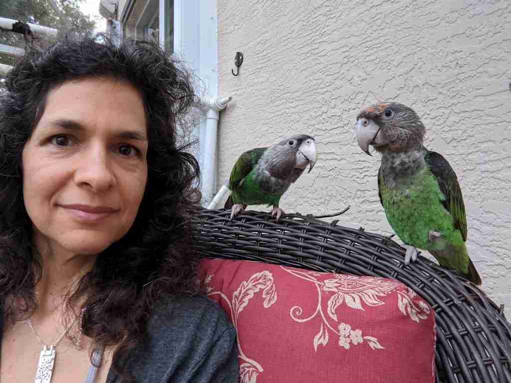 Parrot at the Blissful Sanctuary