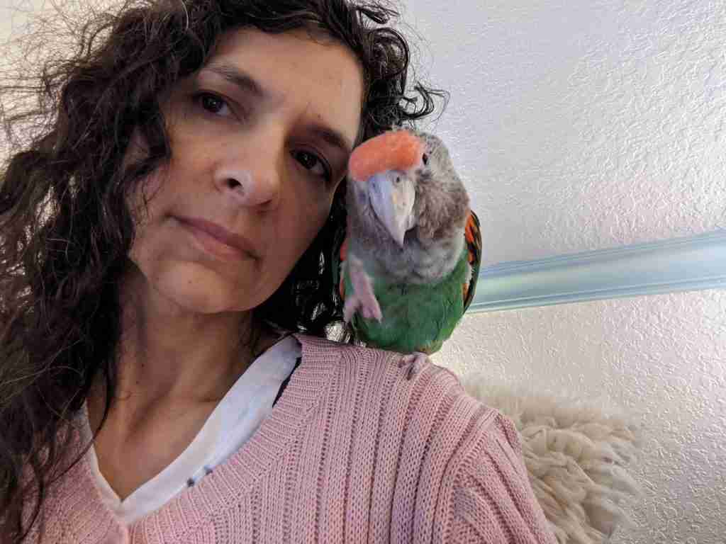 Parrot at the Blissful Sanctuary