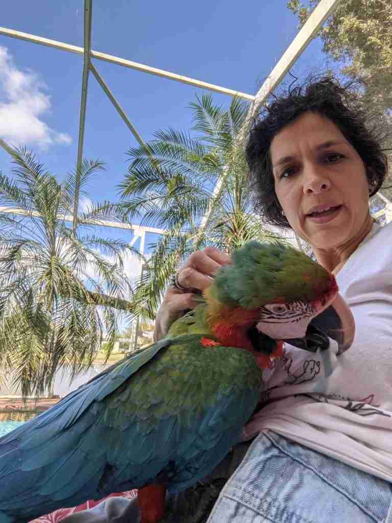 Parrot at the Blissful Sanctuary