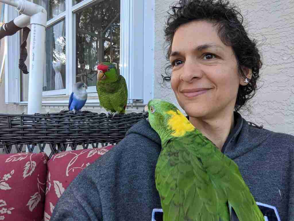 Parrot at the Blissful Sanctuary