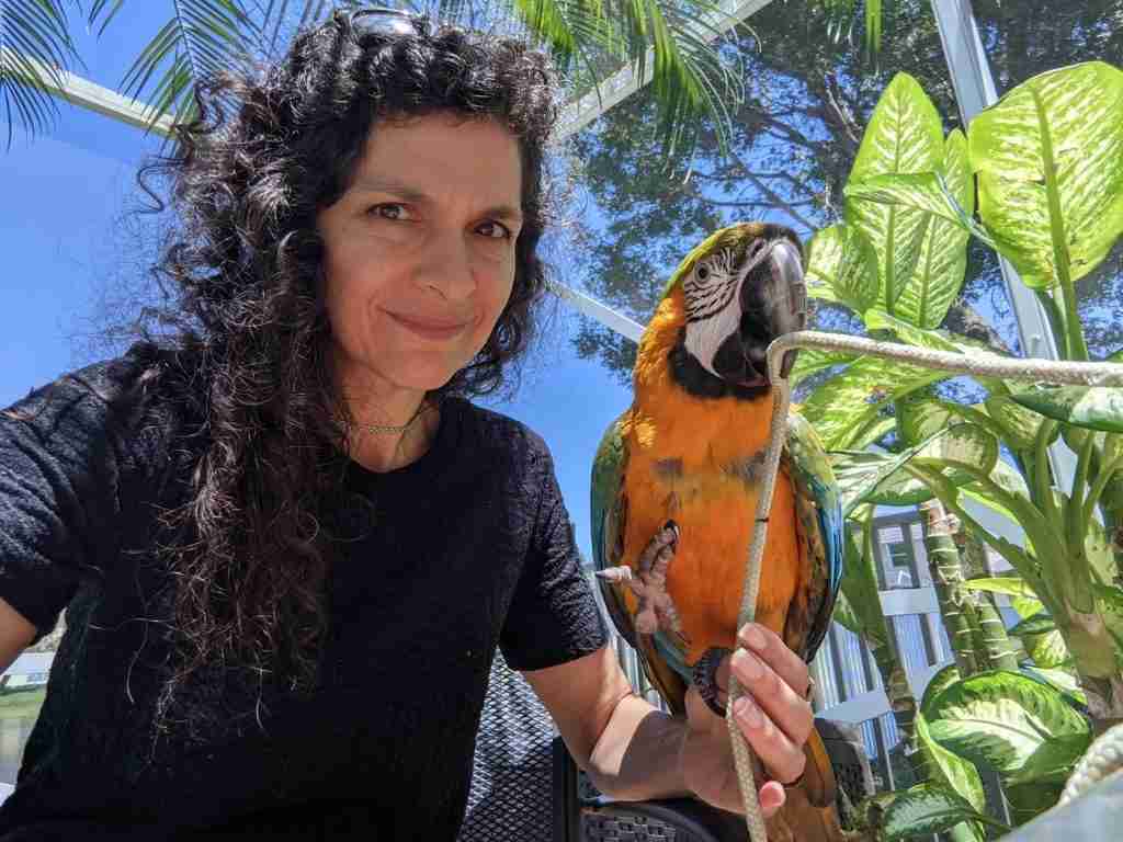 Parrot at the Blissful Sanctuary