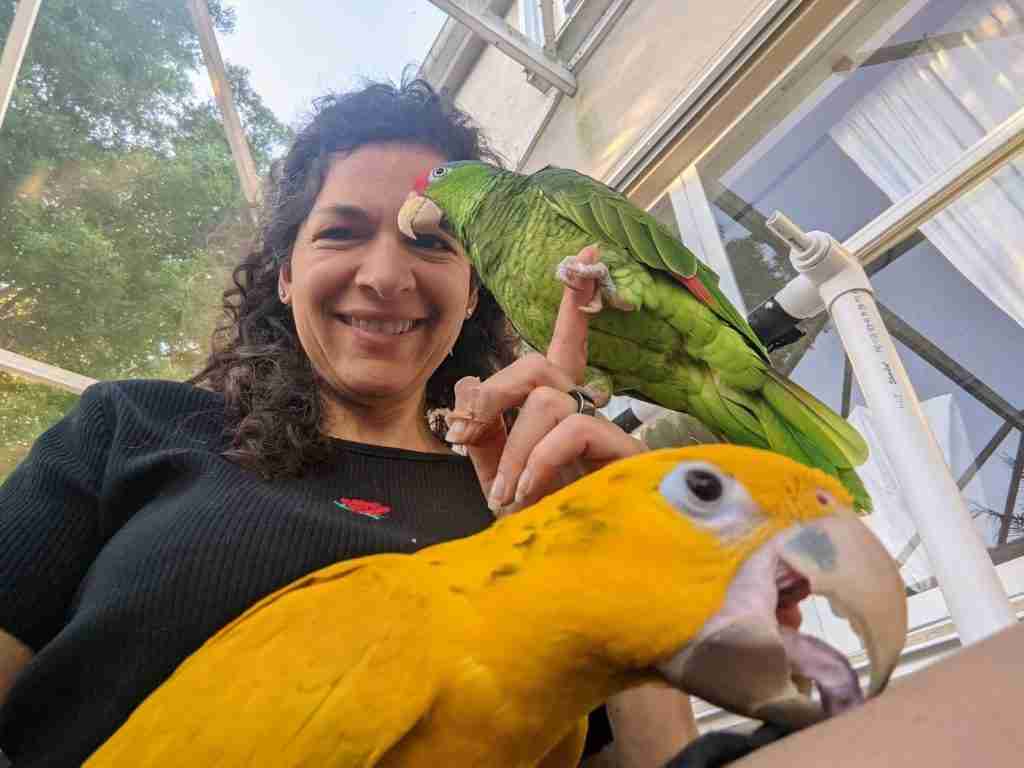 Parrot at the Blissful Sanctuary