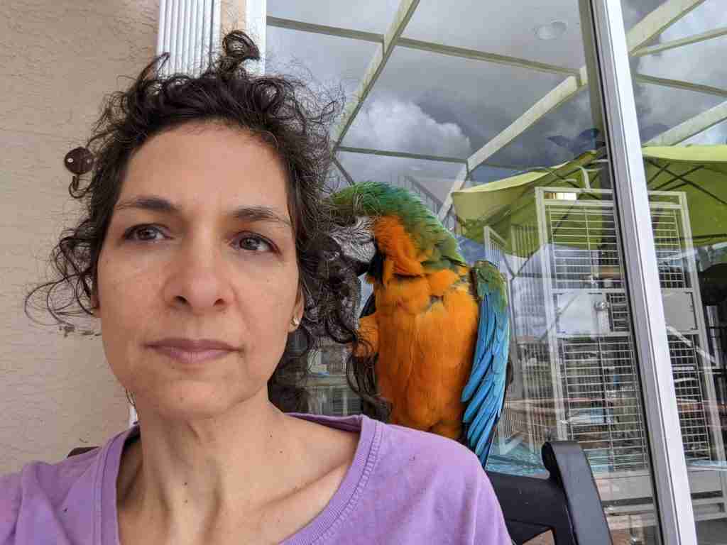 Parrot at the Blissful Sanctuary