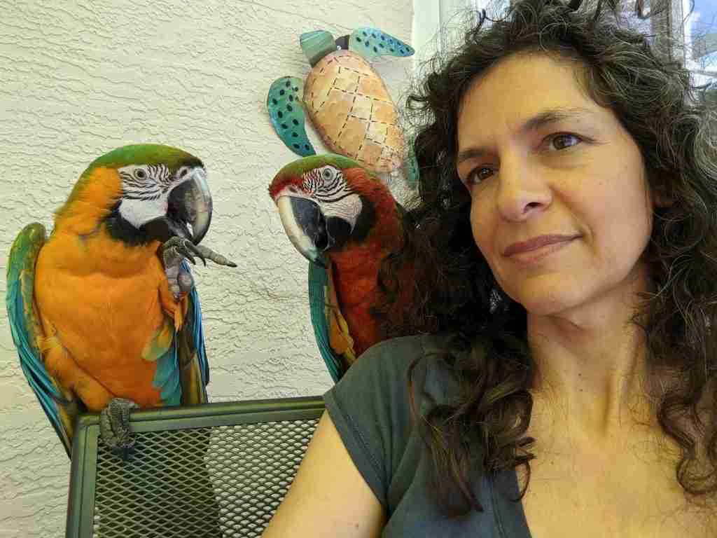 Parrot at the Blissful Sanctuary