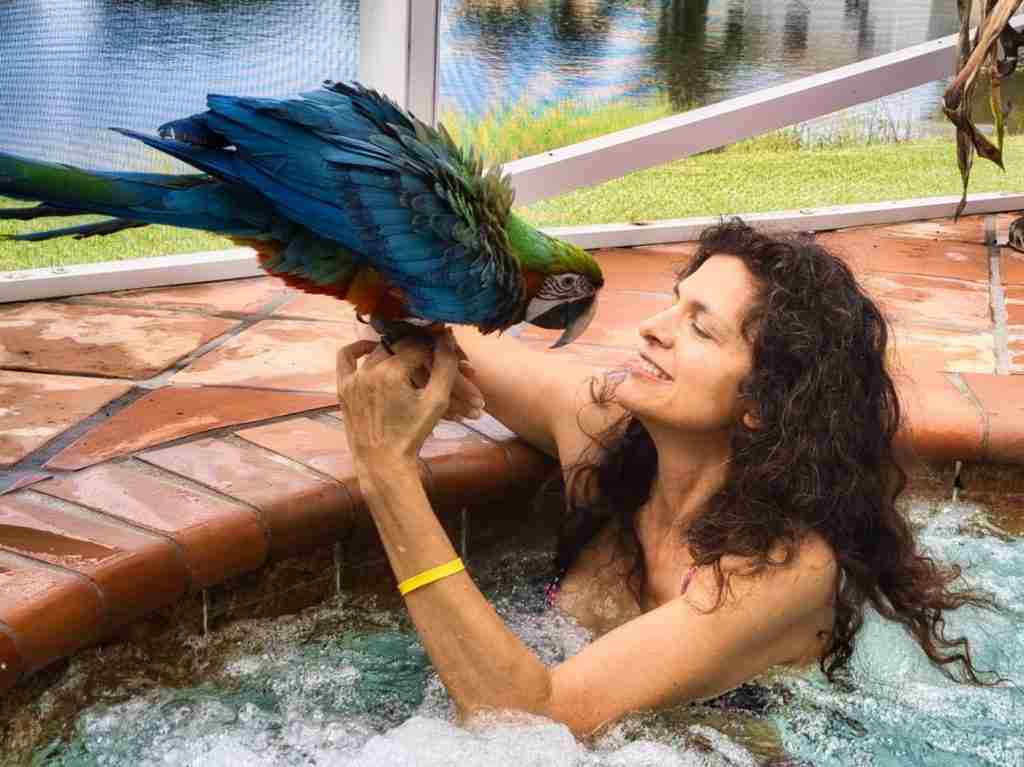 Parrot at the Blissful Sanctuary