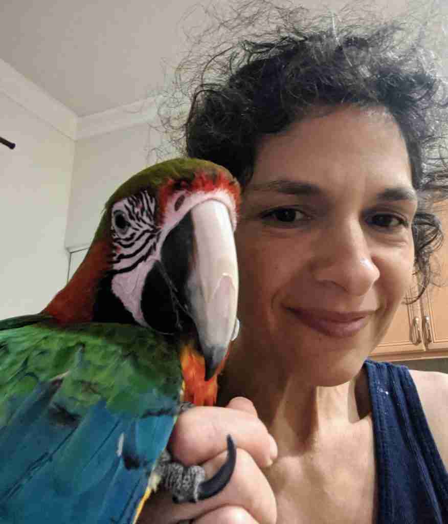 Parrot at the Blissful Sanctuary