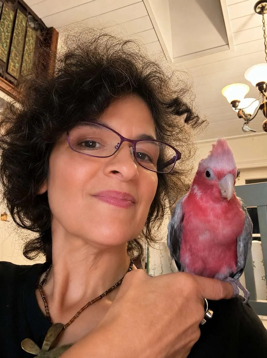 Galah
