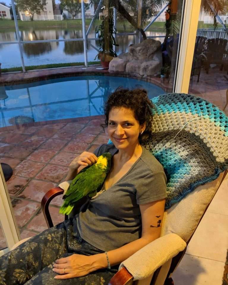 Aggressive, Adopted Amazons- Can They Become Adorable Best Pets?